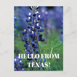 Bluebonnets Texas Staat Blume Blue Floral Lupine Postkarte