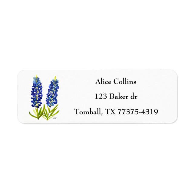 Bluebonnets Texas Staat Blume Lupine (Vorne)
