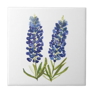 Bluebonnets Texas Staat Blume Lupine Fliese