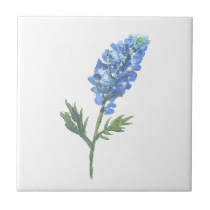 Bluebonnets Texas Staat Blume Lupine Fliese