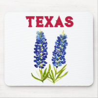 Bluebonnets Texas Staat Blume Lupine Lone Star