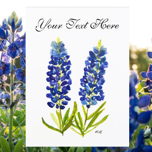 Bluebonnets Texas Staat Blume Lupine Postkarte