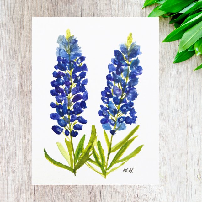 Bluebonnets Texas Staat Blume Lupine Postkarte (Von Creator hochgeladen)