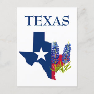 Bluebonnets Texas Staat Blume Lupine Postkarte