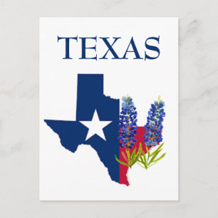 Bluebonnets Texas Staat Blume Lupine Postkarte