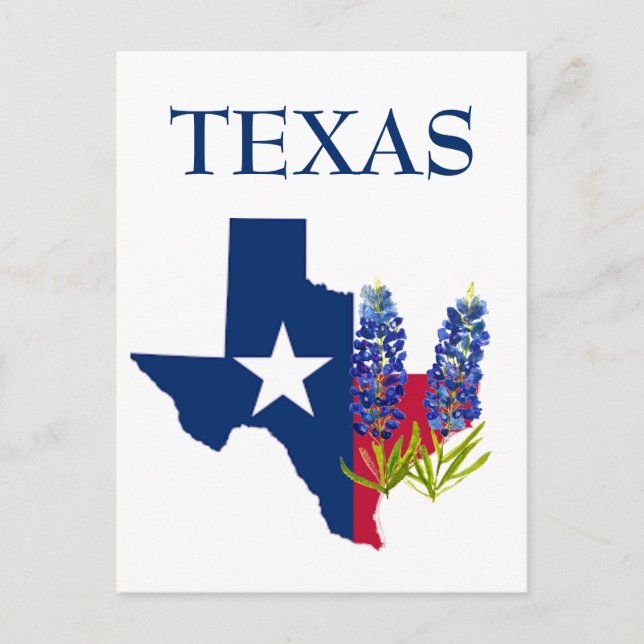 Bluebonnets Texas Staat Blume Lupine Postkarte (Vorderseite)