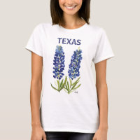 Bluebonnets Texas Wildblumen Lupine