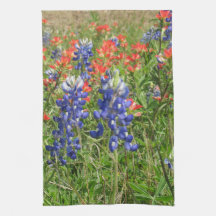 Bluebonnets und indische Pinsel