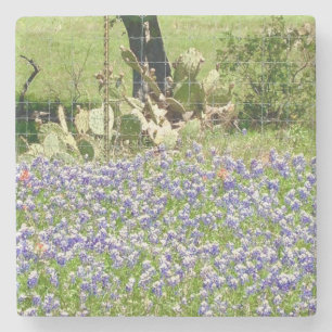 Bluebonnets und Untersetzer aus Kakteen, Marmorste