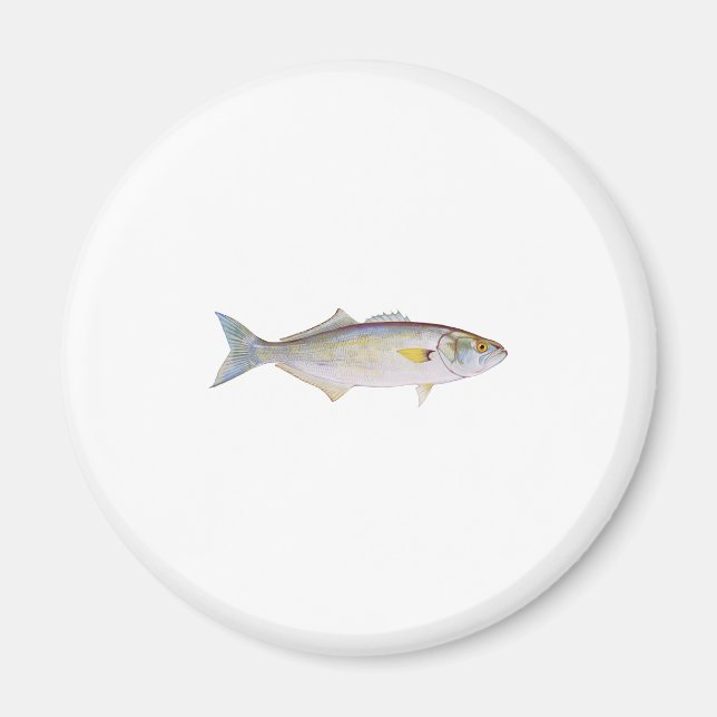 Bluefish Magnet (Vorne)