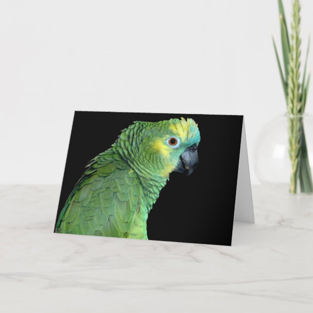 Bluefront Amazon Parrot Notecard Karte (Vorderseite)