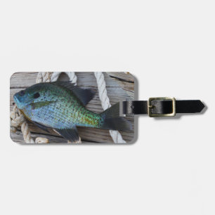 Bluegill auf Dock Gepäckanhänger