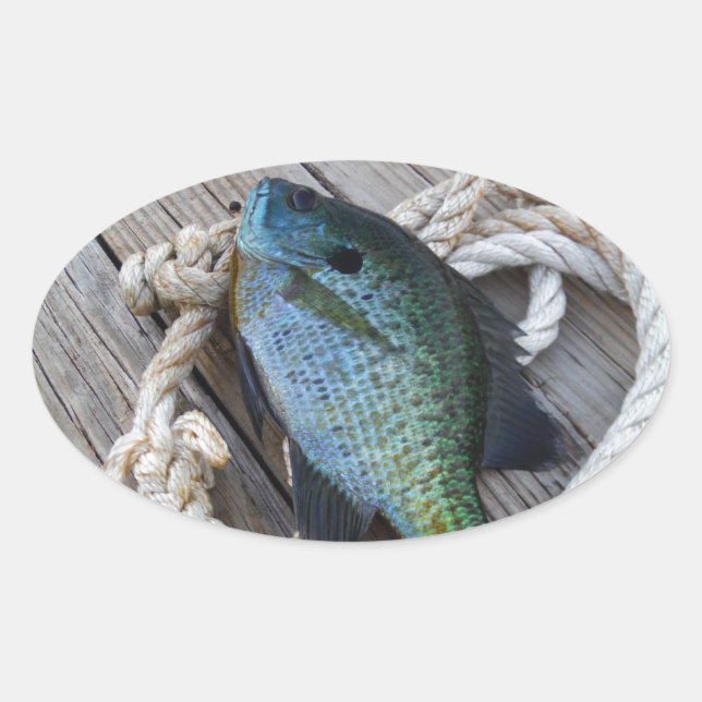 Bluegill auf Dock Ovaler Aufkleber (Vorderseite)