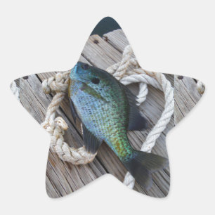 Bluegill auf Dock Stern-Aufkleber