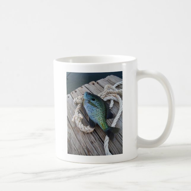 Bluegill auf Dock Tasse (Rechts)