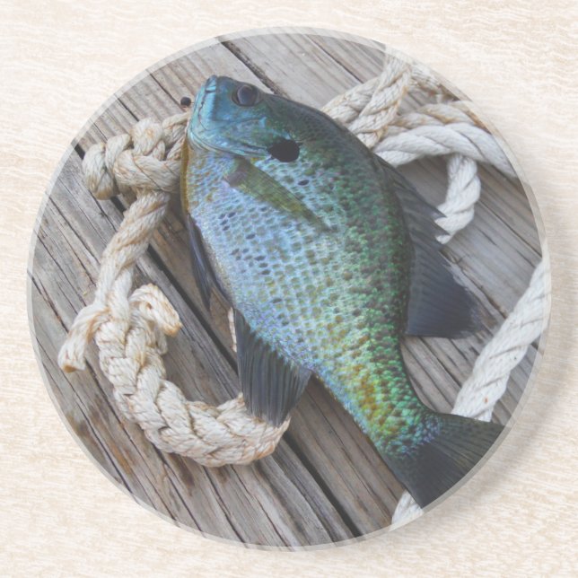 Bluegill auf Dock Untersetzer (Vorne)