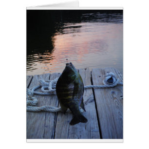 Bluegill bei Sonnenuntergang Lake Arrowhead