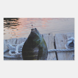 Bluegill bei Sonnenuntergang Lake Arrowhead Rechteckiger Aufkleber