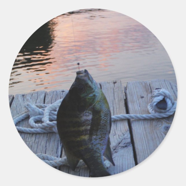 Bluegill bei Sonnenuntergang Lake Arrowhead Runder Aufkleber (Vorderseite)