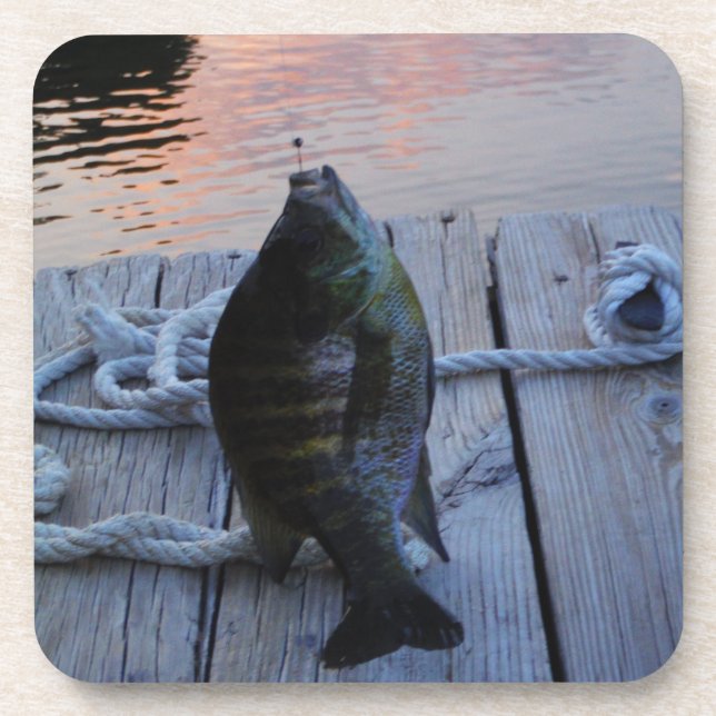 Bluegill bei Sonnenuntergang Lake Arrowhead Untersetzer (Vorderseite)