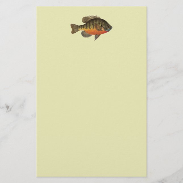 Bluegill Brei Briefpapier (Vorderseite)