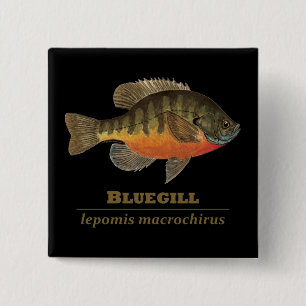 Bluegill-Brei-Fischerei Button