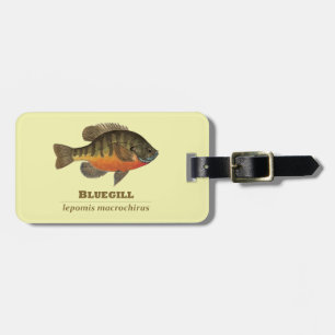 Bluegill-Brei-Fischerei Gepäckanhänger