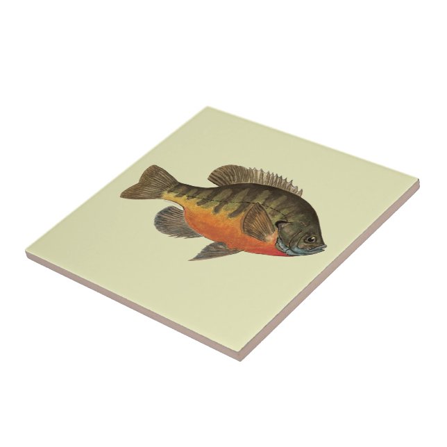 Bluegill Brei Fliese (Seite)