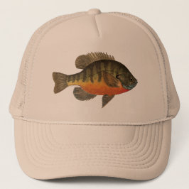 Bluegill Brei Truckerkappe