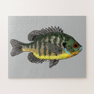Bluegill Sunfish Puzzle