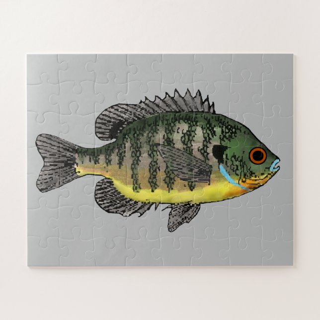 Bluegill Sunfish Puzzle (Horizontal)