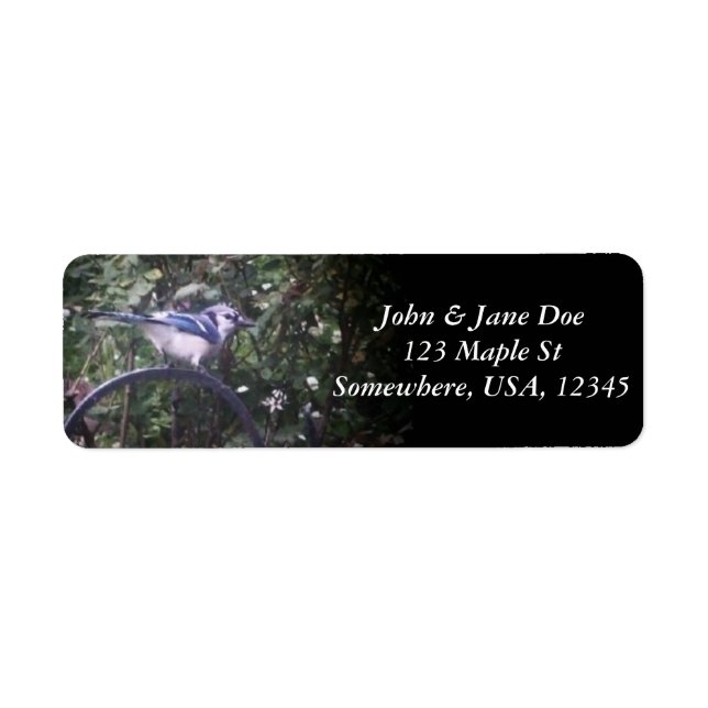 BlueJay 2 (Vorne)