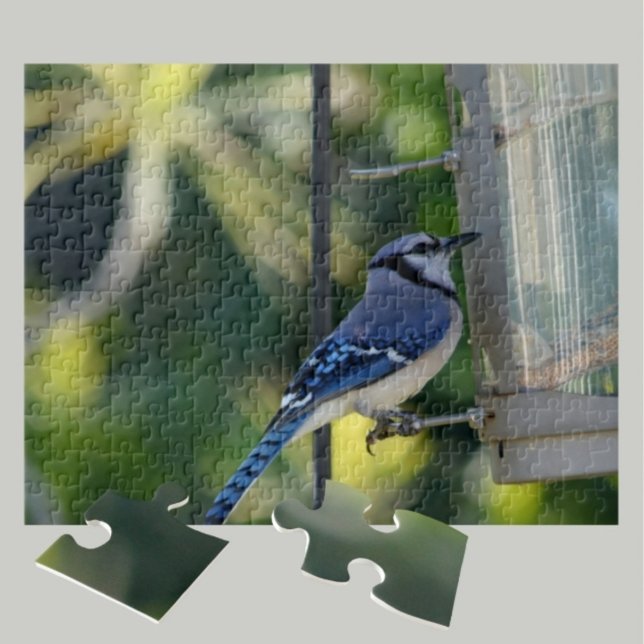 Bluejay auf Birdfeeder Puzzle (Von Creator hochgeladen)