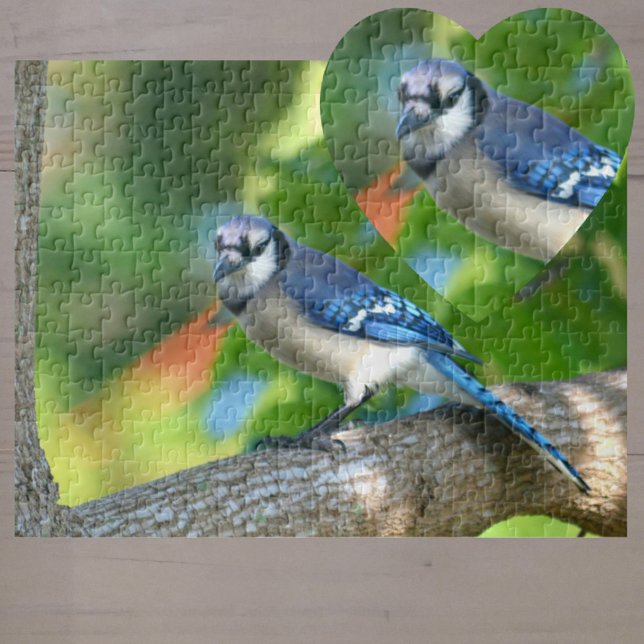 Bluejay in Baumfotografie Puzzle (Von Creator hochgeladen)