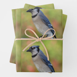 Bluejay - Jeden Anlaß Wrapping Paper Sheets Geschenkpapier Set