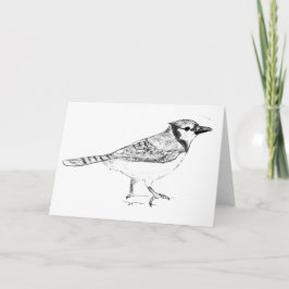 Bluejay Karte