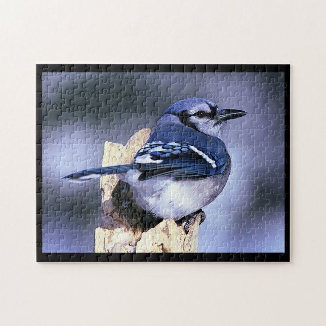 BlueJay Puzzle (Horizontal)