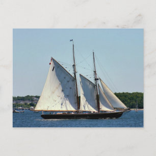 Bluenose II Postcard Postkarte