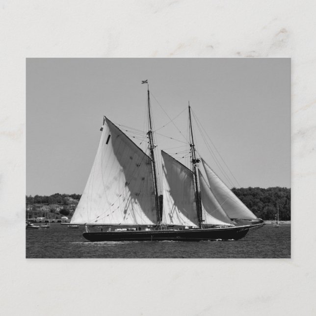 Bluenose II Postcard Postkarte (Vorderseite)