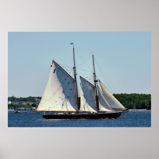 Bluenose II Schooner Poster (Vorne)