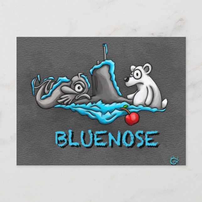 Bluenose Phins Postcard Postkarte (Vorderseite)