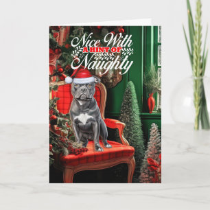 Bluenose Pitbull Dog Naughty oder Nice Christmas Feiertagskarte