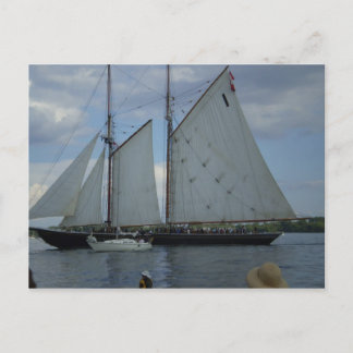 Bluenose Schooner Tall Ship Racing Postcard Postkarte