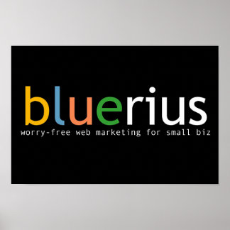 bluerius.com Banner Poster