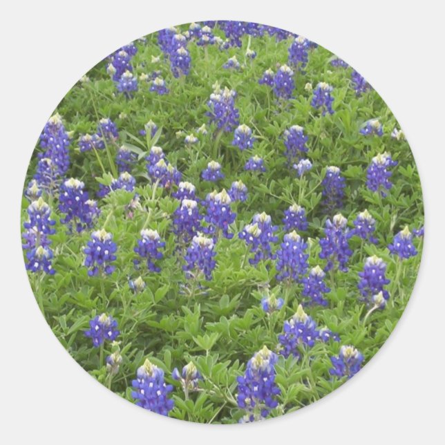 Blues Power Runder Aufkleber (Vorderseite)