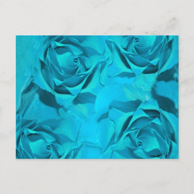 Blues Rose Postkarte (Vorderseite)