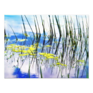 Blues und Gras Fotodruck