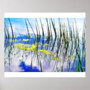 Blues und Gras Poster