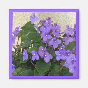 Bluest Blue Violets Magnet