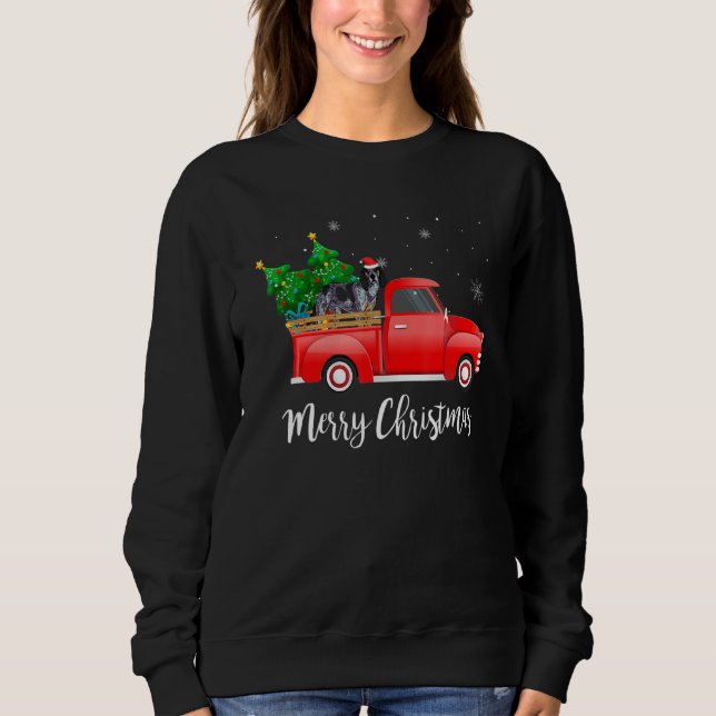 Bluetick Coonhound Dog Riding Red Truck Christmas Sweatshirt (Vorderseite)